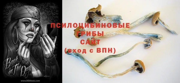 СК Зерноград