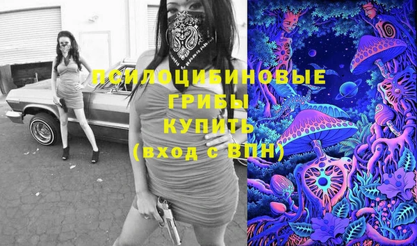 СК Зерноград