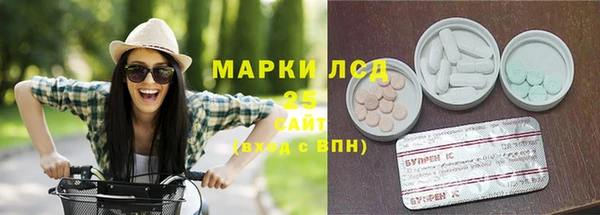 СК Зерноград