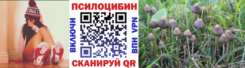 Купить  Ртищево  Псилоцибиновые грибы Magic Shrooms 